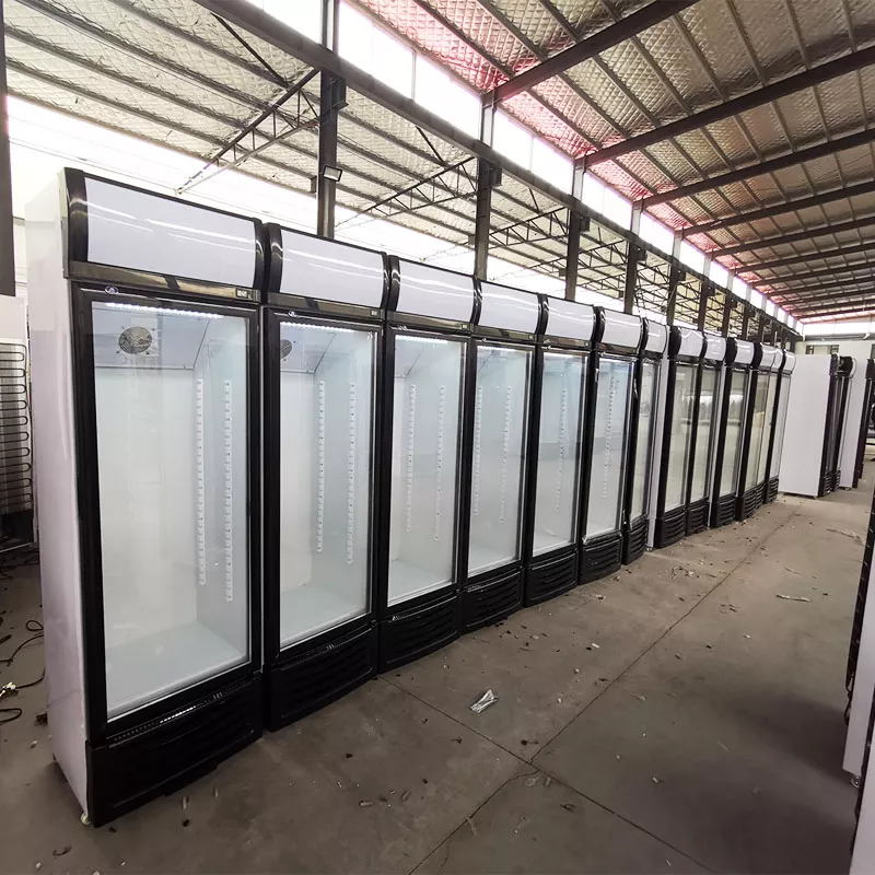 Όρθιο ποτών επίδειξης ψυγείων ενιαίο γυαλιού ψυγείο επίδειξης πορτών κάθετο για την εμπορική χρήση